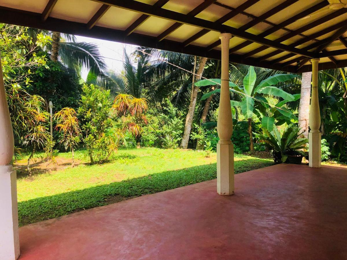 Jungle View Guesthouse אונה ואטונה מראה חיצוני תמונה