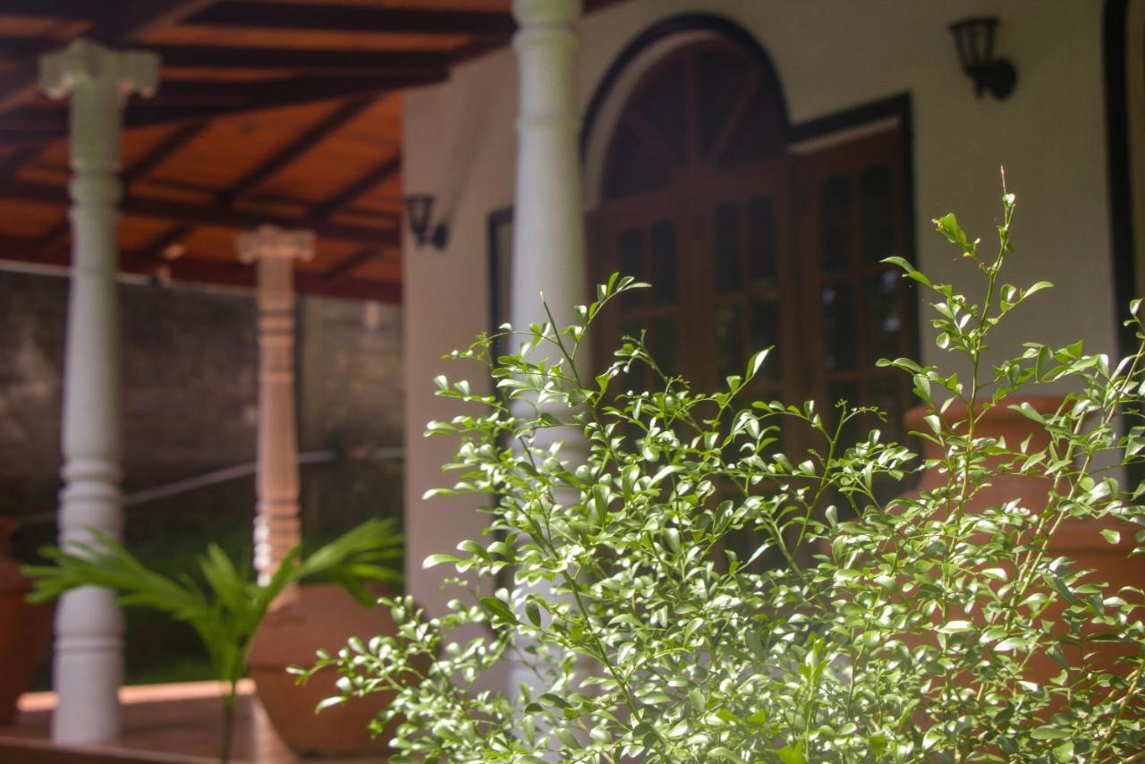 Jungle View Guesthouse אונה ואטונה מראה חיצוני תמונה