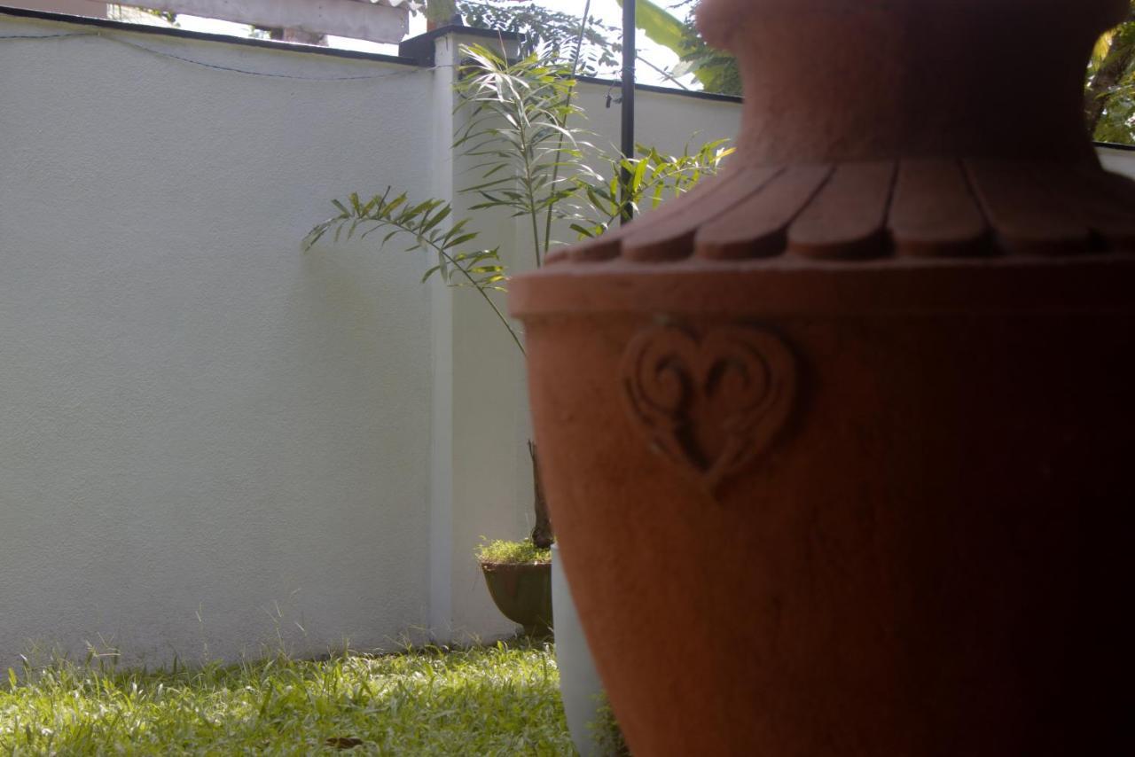 Jungle View Guesthouse אונה ואטונה מראה חיצוני תמונה